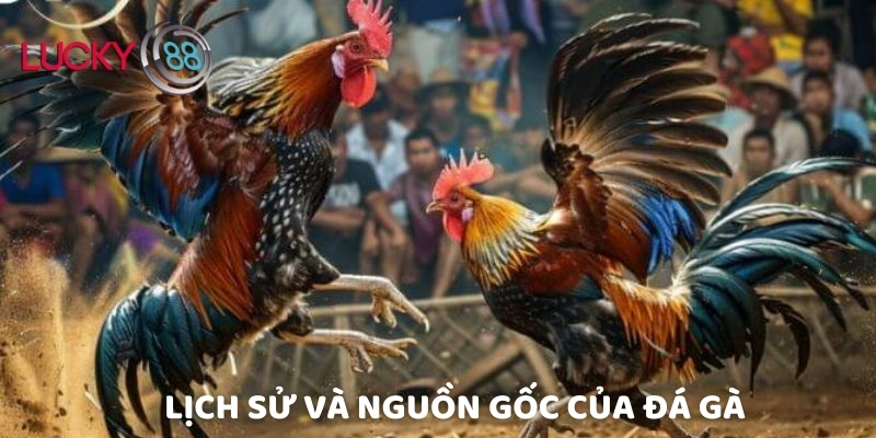 Lịch sử và nguồn gốc của đá gà