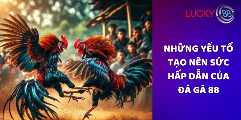 Những yếu tố tạo nên sức hấp dẫn của đá gà 88