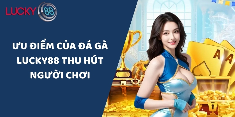 Ưu điểm giúp đá gà Lucky88 thu hút người chơi